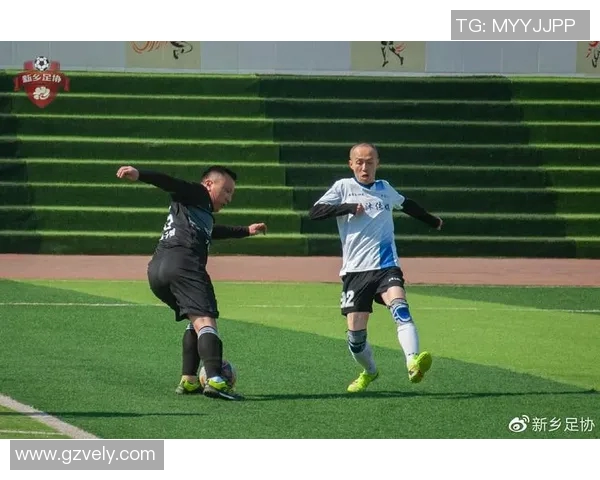 新乡足球明星队全新阵容揭晓球员名单及实力分析一览 新乡足球明星队全新阵容揭晓球员名单及实力分析一览