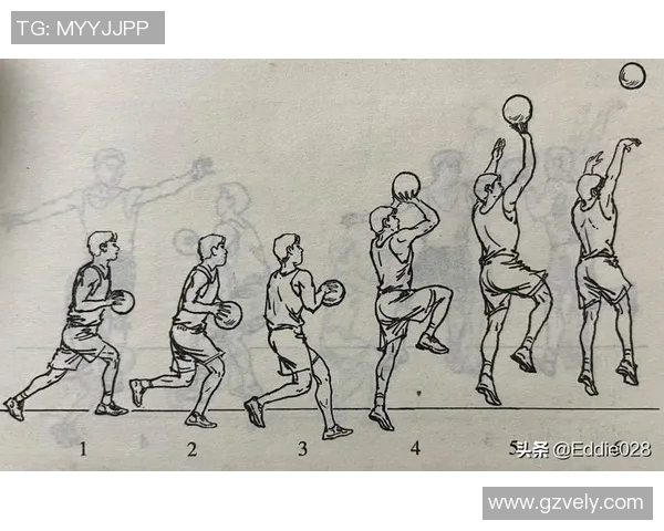 篮球明星投篮技巧解析视频分享助你提升投篮水平与技巧