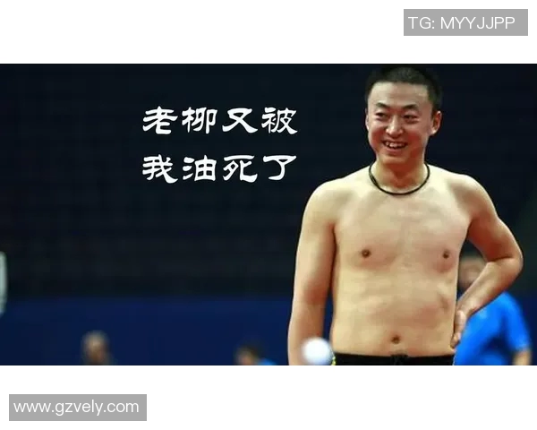 篮球明星马琳的辉煌职业生涯与成就简介